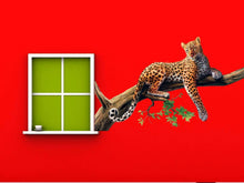 Load image into Gallery viewer, Leopard wall decal, Leopard Full Color Decal, Leopard Full color sticker, wall art cn 024