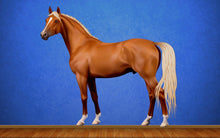 Load image into Gallery viewer, Horse Full Color Decal, Mustang Full color sticker, wall art, wall decor cn 109