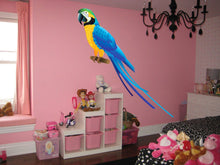 Load image into Gallery viewer, Parrot Full Color Decal, Parrot Bird Full color sticker, wall art, cn 118