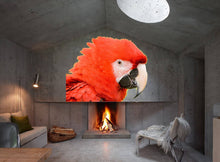 Load image into Gallery viewer, Parrot decals for wall Rear window car decal Bird decals for wall Red bird window decal