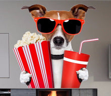 Load image into Gallery viewer, Dog wall sticker, funny dog, movie night wall decal, funny animal decor cfb 77