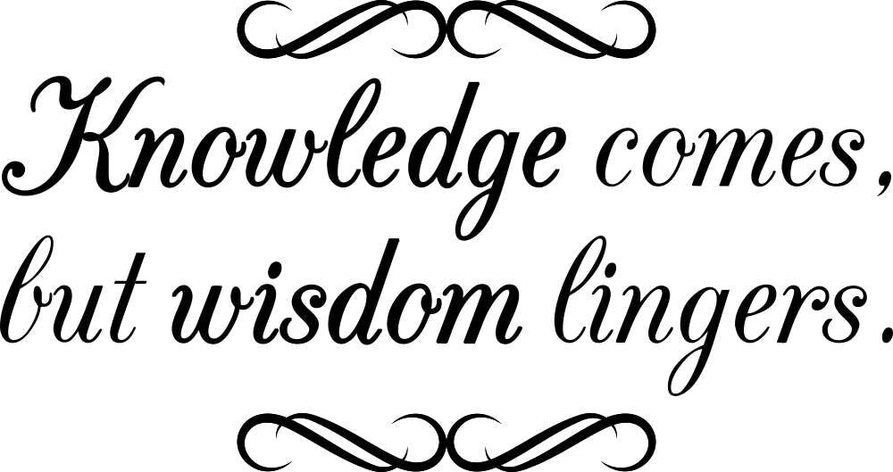 Knowledge Comes But Wisdom Lingers Vinyl Wall Stickers Motivational Murals Wall Decal for Girl Boy Bedroom Living Room