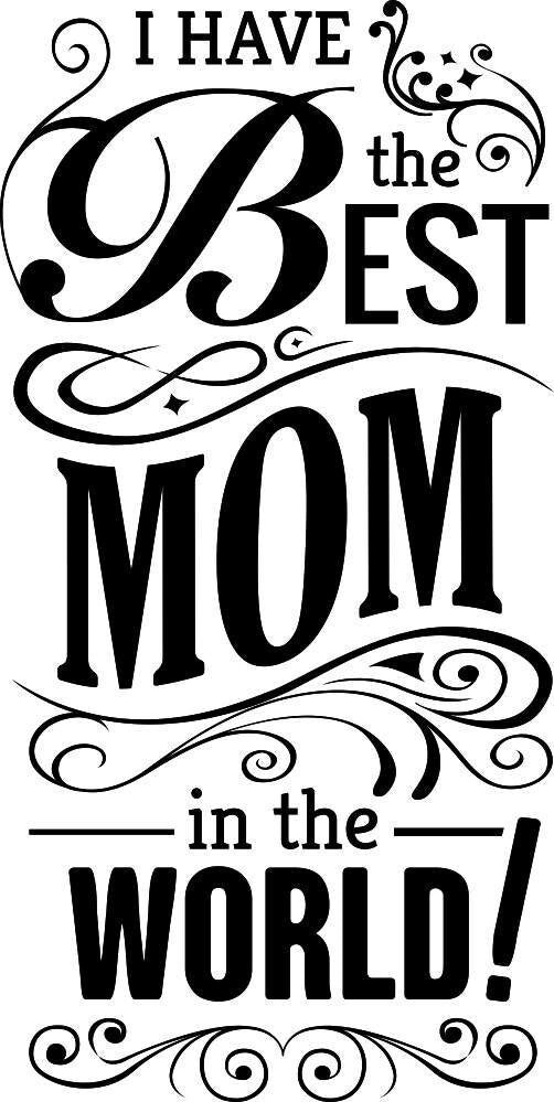 I Have The Best Mom Vinyl Decal Wall Sticker Decor Quote – Motivational Wall Murals