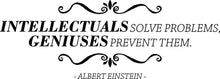 Load image into Gallery viewer, Intellectuals Solve Problems Albert Einstein Vinyl Decal Wall Stickers Motivational Murals Stickers Inspirational Quotes