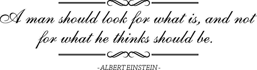 A Man Should Look For What Is Albert Einstein Vinyl Wall decals ,Decor Quote Motivational Murals Art Wall Stickers