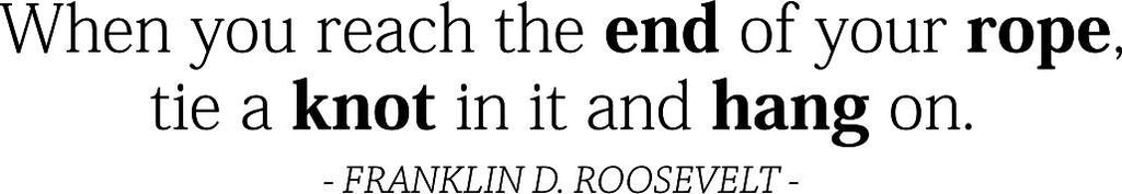 When Your Reach The End Of Your Rope Roosevelt Vinyl Decal Wall Sticker Decor Quote – Motivational Wall Murals