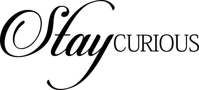 Stay Curious New Vinyl Decal Design Sticker Decor – Motivational Wall Murals