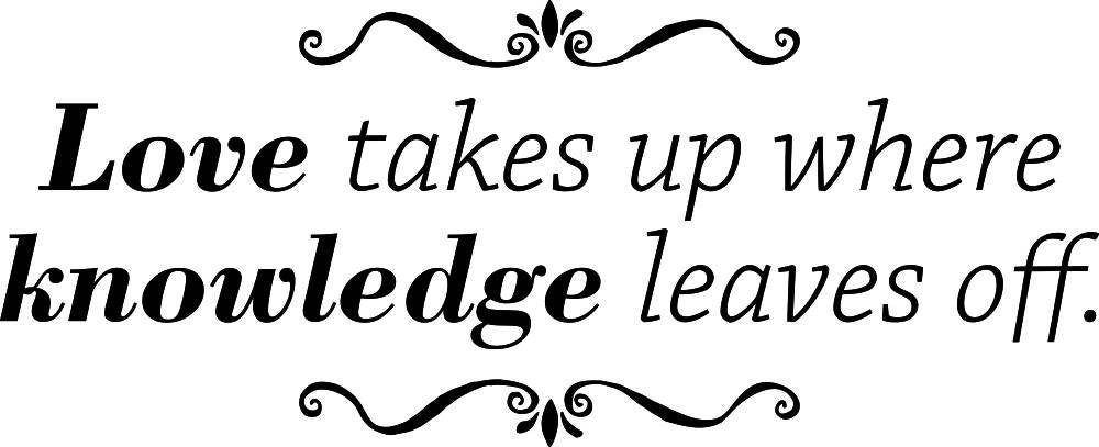 Love Takes Up Where Knowledge Leaves Off Inspiring Vinyl Wall Stickers Decor Quote Motivational Murals, wall stickers