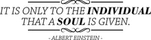 Load image into Gallery viewer, It Is Only To The Individual Albert Einstein Vinyl Decal Quote Motivational Murals Art Wall Sticker Inspirational