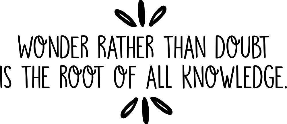 Wonder Rather Than Doubt Vinyl Decal Wall Sticker Decor Quote – Motivational Wall Murals
