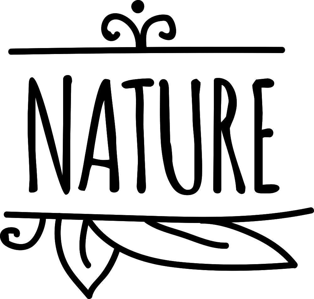Nature Typography Vinyl Decal Wall Sticker Decor Quote – Motivational Wall Murals
