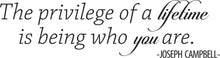 Load image into Gallery viewer, Joseph Campbell Lifetime Quote New Vinyl Wall Decal Sticker Decor – Motivational Wall Murals