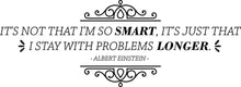 Load image into Gallery viewer, Its Not That Im Smart Albert Einstein Vinyl Decal Wall Sticker Decor Quote Motivational Wall Murals Art Wall Sticker Inspirational Quotes