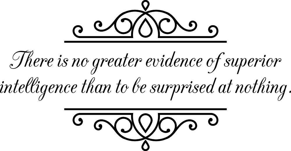There Is No Greater Evidence Of Superior Intelligence Vinyl Decal Wall Sticker Decor Quote – Motivational Wall Murals