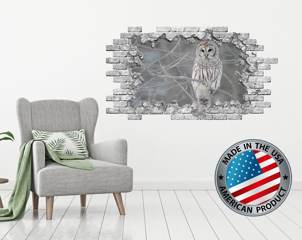 Owl Wall Decal. Hole in the Wall Decals. Bird Wall Decal. Smashed Wall Mural. 3D Effect Wall Crack Decal. Brick Wall Sticker Removable P170