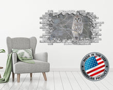 Load image into Gallery viewer, Owl Wall Decal. Hole in the Wall Decals. Bird Wall Decal. Smashed Wall Mural. 3D Effect Wall Crack Decal. Brick Wall Sticker Removable P170
