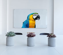 Load image into Gallery viewer, Parrot Polygonal Wall decal, Parrot Polygon sticker, modern wall art, Parrot Bird Pet Colorful Polygonal Wall Vinyl Sticker Multi Color GD37
