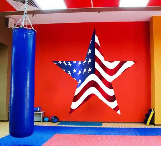 Star American Flag Wall decal, American Flag Wall star sticker, modern wall art, Multi Color AN-116 Active Restock requests star decals