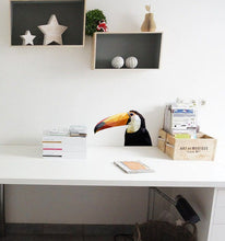 Load image into Gallery viewer, Lovely Cute Toucan Birds Animal 3D Vinyl Wall Stickers Removable Wall Decals Art Decorations Decor for Nursery Baby Bedroom Playroom-GD172
