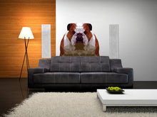 Load image into Gallery viewer, English bulldog dog, Polygonal Wall decal, Winston &amp; Bear Funny Bulldog Wall Decals, English Bulldog 3D Sticker, Multi Color GD191