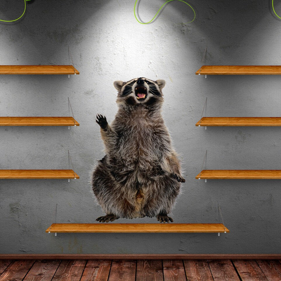 Funny Raccoon Animal Wall decal, Raccoon Wall sticker, modern wall art, Little Raccoon Buddy Vinyl Sticker Decal Multi Color AN-109