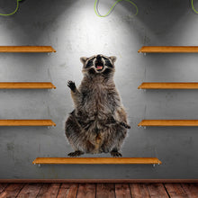 Load image into Gallery viewer, Funny Raccoon Animal Wall decal, Raccoon Wall sticker, modern wall art, Little Raccoon Buddy Vinyl Sticker Decal Multi Color AN-109