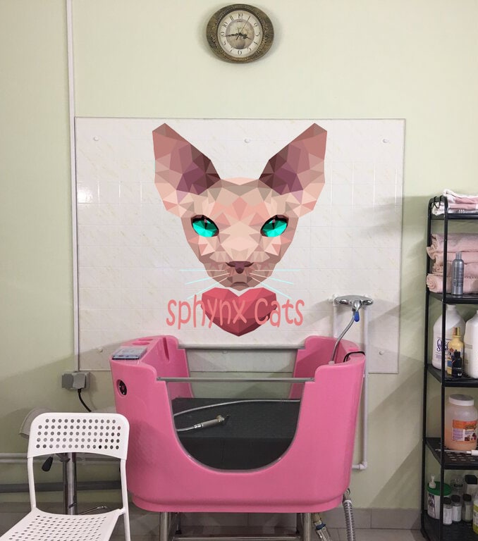 Sphinx cat Grooming salon Polygonal Wall decal, wall decor living room Sphinx cat Polygon sticker,modern wall art, Multi Color GD189