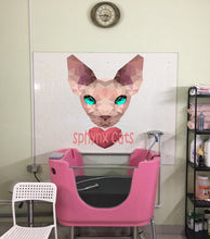 Load image into Gallery viewer, Sphinx cat Grooming salon Polygonal Wall decal, wall decor living room Sphinx cat Polygon sticker,modern wall art, Multi Color GD189