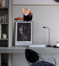 Load image into Gallery viewer, Raccoon Red Polygonal Wall decal, Funny Raccoon Wall Sticker - Removable Wall Decals Wall Art for Kids Room.