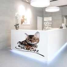 Load image into Gallery viewer, Grooming Salon Cat Polygonal Wall decal, Cat Animal Polygon sticker, modern wall art, Cat Wall Sticker Mural Art Decor Multi Color GD238