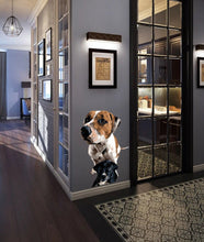Load image into Gallery viewer, Dogs Polygonal Wall decal, dogs wall stickers, dog wall decor, dog room decor, pet decor for home, wall decor living room Multi Color GD273