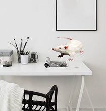 Load image into Gallery viewer, White Rat Polygonal Wall decal, Wallmonkeys Rat Wall Decal Peel and Stick Animal Graphics Multi Color GD302