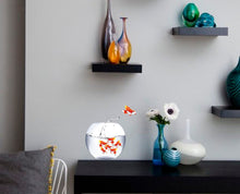 Load image into Gallery viewer, Gold Fish Decal, Gold Fish Sticker, Gold Fish Wall Decor