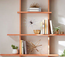 Load image into Gallery viewer, Spider Web Wall Decal, Spider Web Wall sticker, Spider Web wall decor