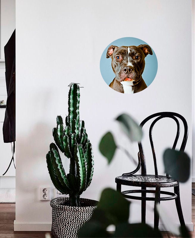 Pitbull Wall Decal, Pitbull Wall sticker, Pitbull wall decor