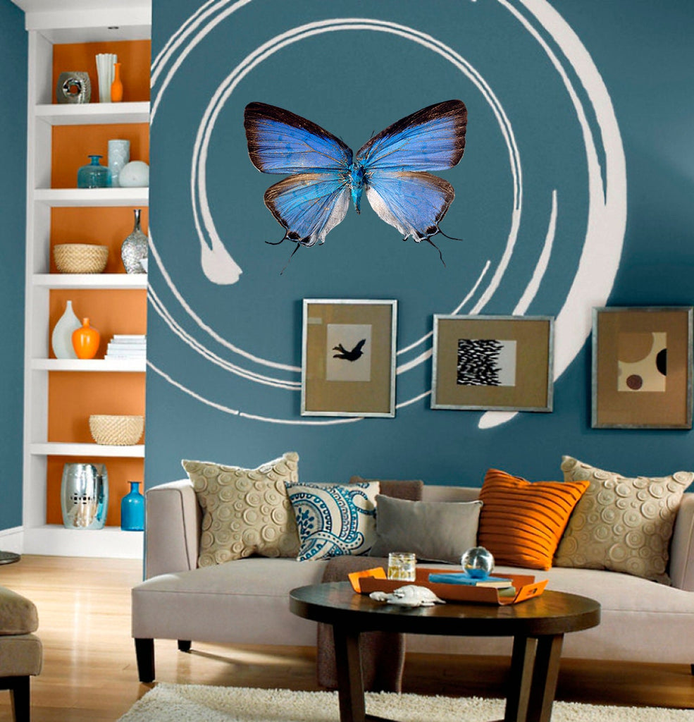 3D Butterfly Wall Decal, 3D Butterfly Wall sticker, 3D Butterfly wall decor