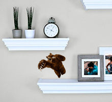 Load image into Gallery viewer, Grizzly bear Wall Decal, Grizzly bear Wall sticker, Grizzly bear wall decor