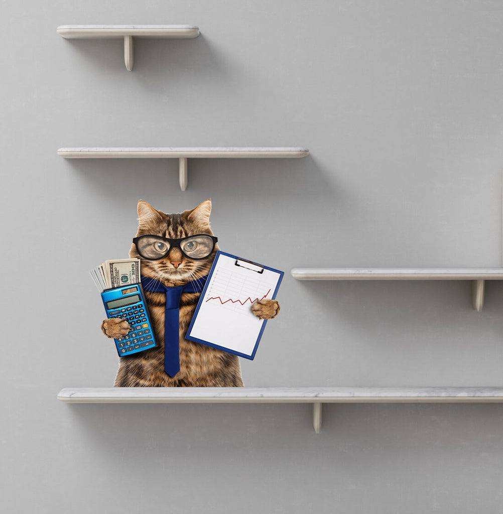Accountant Cat Sticker, Accountant Cat Decal, Accountant Cat Wall Decor