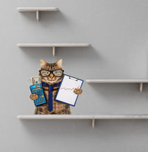 Load image into Gallery viewer, Accountant Cat Sticker, Accountant Cat Decal, Accountant Cat Wall Decor
