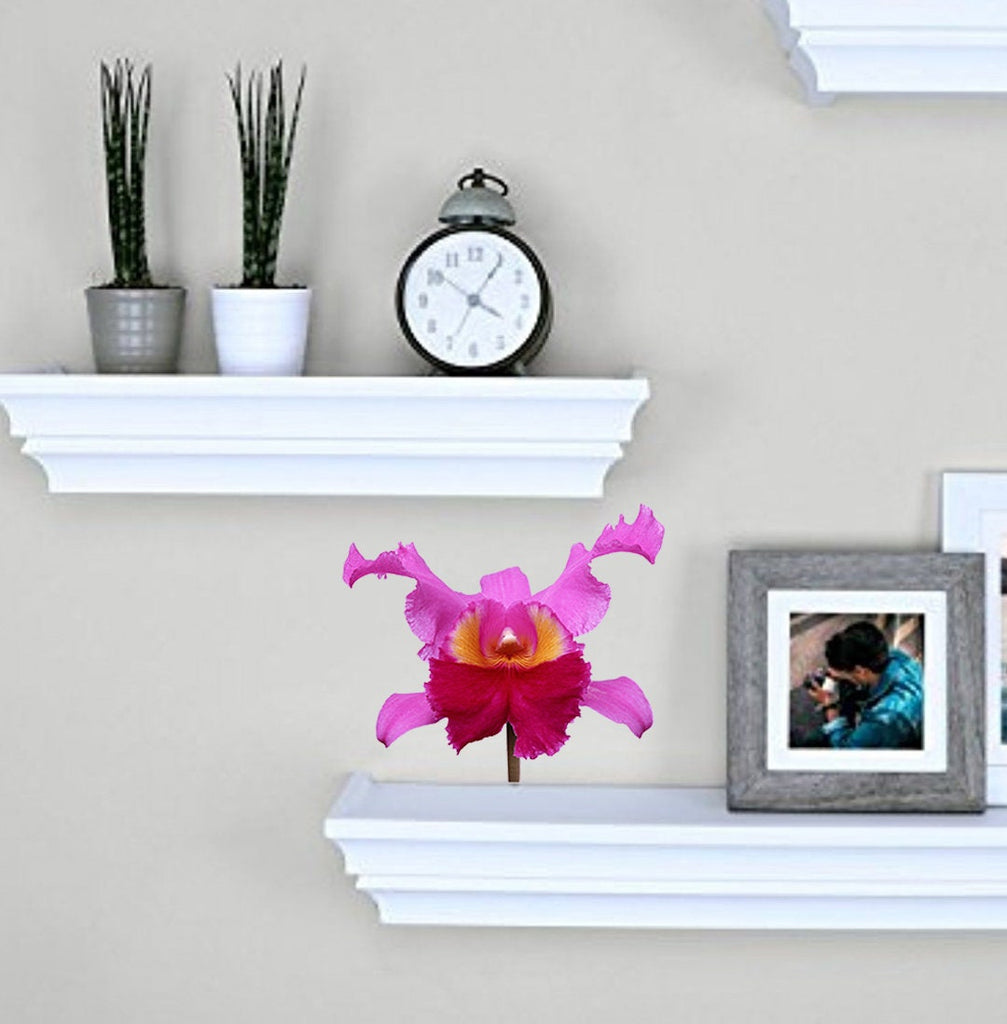 Wild Orchid Decal, Wild Orchid Sticker, Wild Orchid Wall Decor