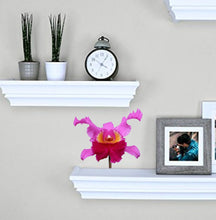 Load image into Gallery viewer, Wild Orchid Decal, Wild Orchid Sticker, Wild Orchid Wall Decor