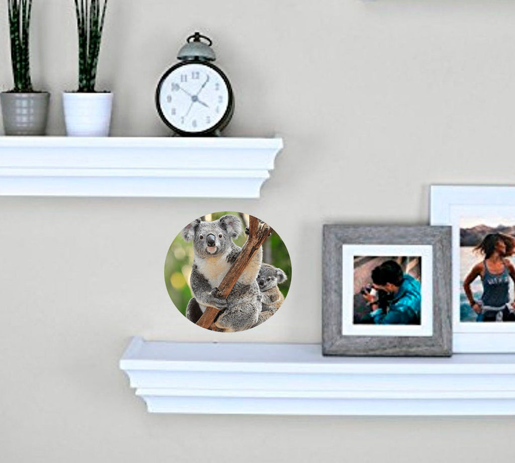 Koala Decal, Koala Sticker, Koala Wall Decor