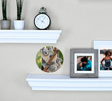 Load image into Gallery viewer, Koala Decal, Koala Sticker, Koala Wall Decor