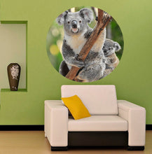 Load image into Gallery viewer, Koala Decal, Koala Sticker, Koala Wall Decor