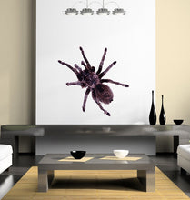 Load image into Gallery viewer, 3D Tarantula Decal, 3D Tarantula Sticker, 3D Tarantula Wall Decor
