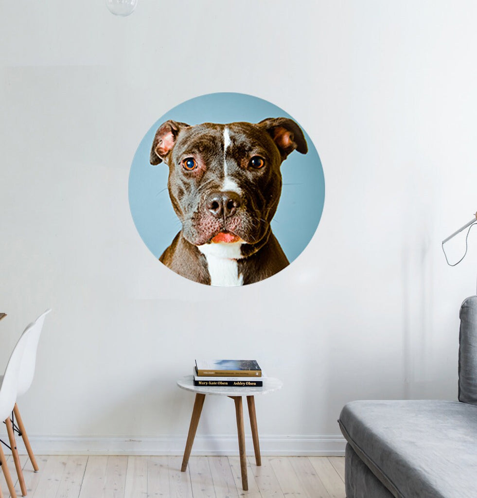 Pitbull Wall Decal, Pitbull Wall sticker, Pitbull wall decor