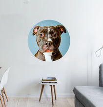 Load image into Gallery viewer, Pitbull Wall Decal, Pitbull Wall sticker, Pitbull wall decor