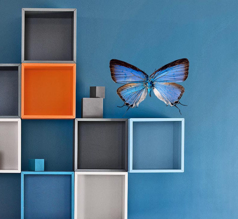 3D Butterfly Wall Decal, 3D Butterfly Wall sticker, 3D Butterfly wall decor