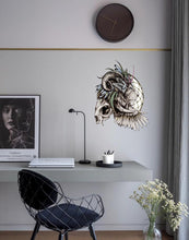 Load image into Gallery viewer, Lion Dreamcatcher, Lion Dreamcatcher Sticker, Lion Dreamcatcher Decal