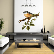 Load image into Gallery viewer, Bird Decal, Bird Sticker, Bird Wall Decal, Bird Wall Sticker